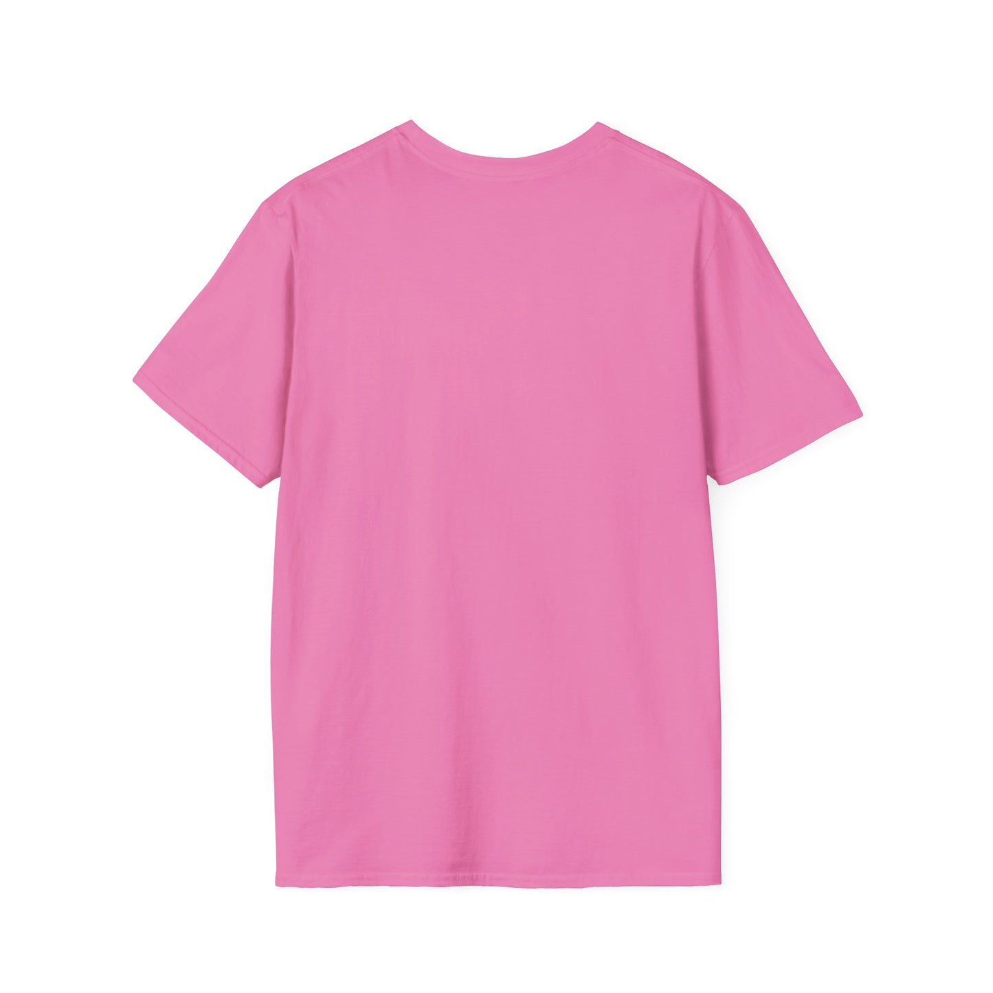 Get In Losers – UFO Abduction Unisex Softstyle T-Shirt